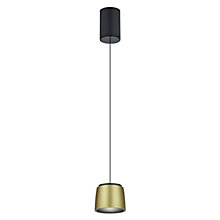 Helestra Ove Pendant Light LED black/gold