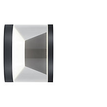 Helestra Poro, negro mate – Lámpara de pared led — imagen 2