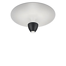 Helestra Redo, ø50 cm – Lámpara de techo led — imagen 2