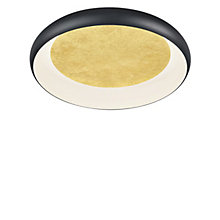 Helestra Tyra Plafond-/Wandlamp LED zwart/goud