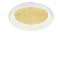 Helestra Tyra, lámpara de techo/pared LED blanco/dorado