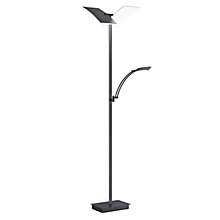 Hell Andy, 2 focos – Lámpara de pie led — imagen 2