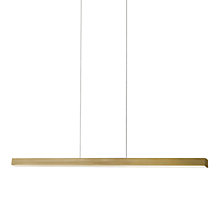 Holtkötter Xena Pendant Light LED brass matt - 160 cm