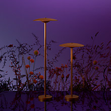 Marset Ginger, sobremuro Led — imagen 7