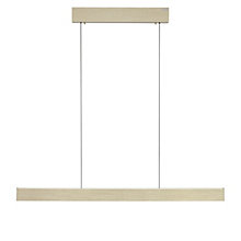 Neuhaus PURE® by Paul Neuhaus E-Motion Hanglamp LED goud