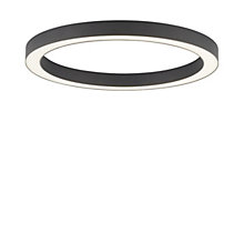 Neuhaus PURE® by Paul Neuhaus Lines Round Deckenleuchte LED anthrazit - ø50 cm