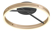 Neuhaus PURE® by Paul Neuhaus Loop – Lámpara de techo led — imagen 4