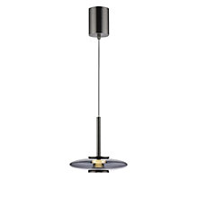 Neuhaus PURE® by Paul Neuhaus Vitrum Hanglamp LED 1-licht grijs