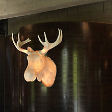 Northern Moo – Lámpara de pared — imagen 4