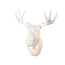 Northern Moo – Lámpara de pared — imagen 2