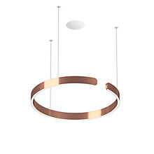 Occhio Mito Sospeso 60 Fix Flat Table Suspension encastrée LED tête or rose/cache-piton blanc mat - DALI