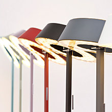 Oligo Glance – Lámpara de sobremesa led — imagen 5