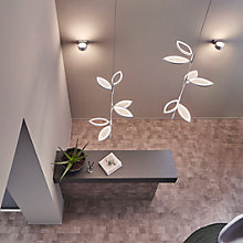 Oligo Grace, lámpara de pared Led — imagen 3