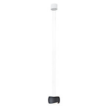 Oligo Slack-Line Curved, 1 foco – Lámpara de suspensión led — imagen 2