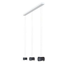 Oligo Slack-Line Curved, lámpara de suspensión Led 3 focos — imagen 2