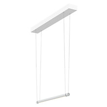 Oligo Slack-Line Kendo, 60 cm – Lámpara de suspensión led — imagen 2