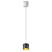 Oligo Tudor Pendelleuchte LED - unsichtbar höhenverstellbar schwarz/gold - 9,5 cm