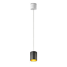 Oligo Tudor, lámpara de suspensión LED - altura ajustable de forma invisible negro/dorado - 14 cm