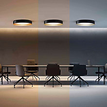 Panzeri Ginevra, negro/oro - 80 cm – Lámpara de suspensión led — imagen 4
