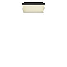 Paul Neuhaus Q-Magong, negro - cuadrado – Lámpara de techo led — imagen 2