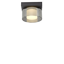 Paul Neuhaus Rika, negro – Lámpara de techo led — imagen 2