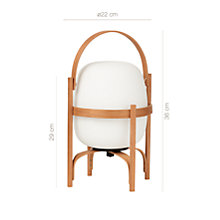 Buy Santa & Cole Cestita Bateria LED at light11.eu