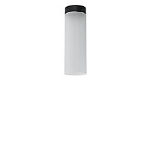 Top Light Dela Lampada da soffitto rosone nero opaco, black edition - 20 cm - E27 , Vendita di giacenze, Merce nuova, Imballaggio originale