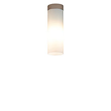 Top Light Dela Plafonnier LED cache-piton nickel mat - 20 cm