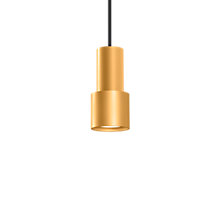 Wever & Ducré Odrey 1.1 Pendel loftsrosette sort/lampeskærm guld