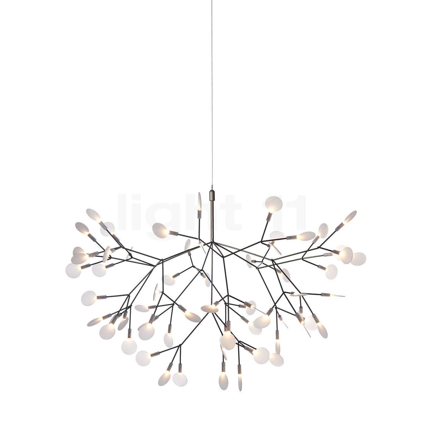 Moooi Heracleum Ii Pendant Light At Light11 Eu