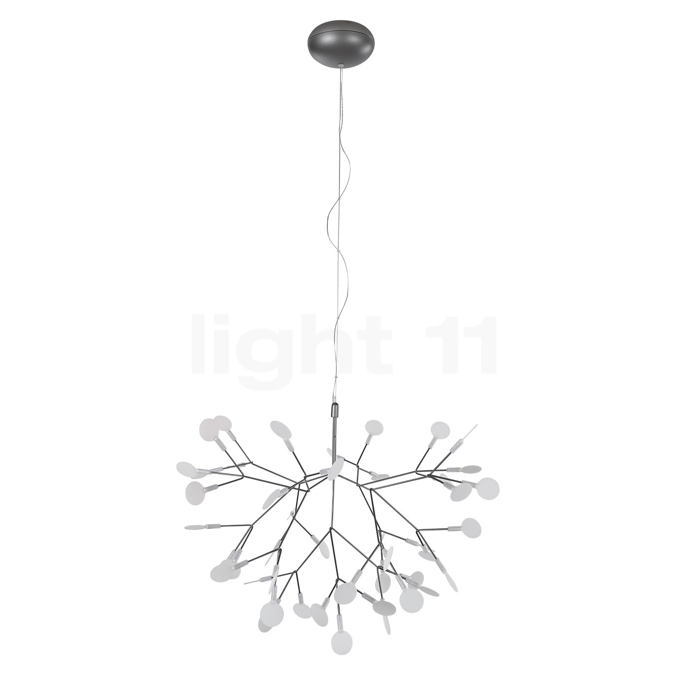 Moooi Heracleum Ii Pendant Light Small At Light11 Eu