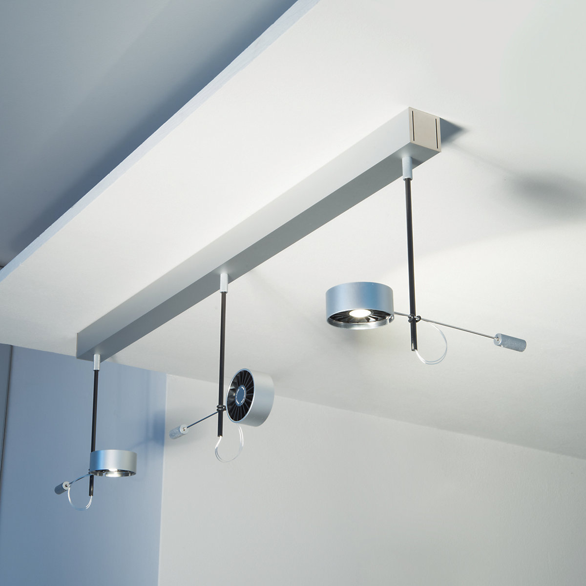 Buy Absolut Lighting Absolut Ceiling Light 3 lamps LED at