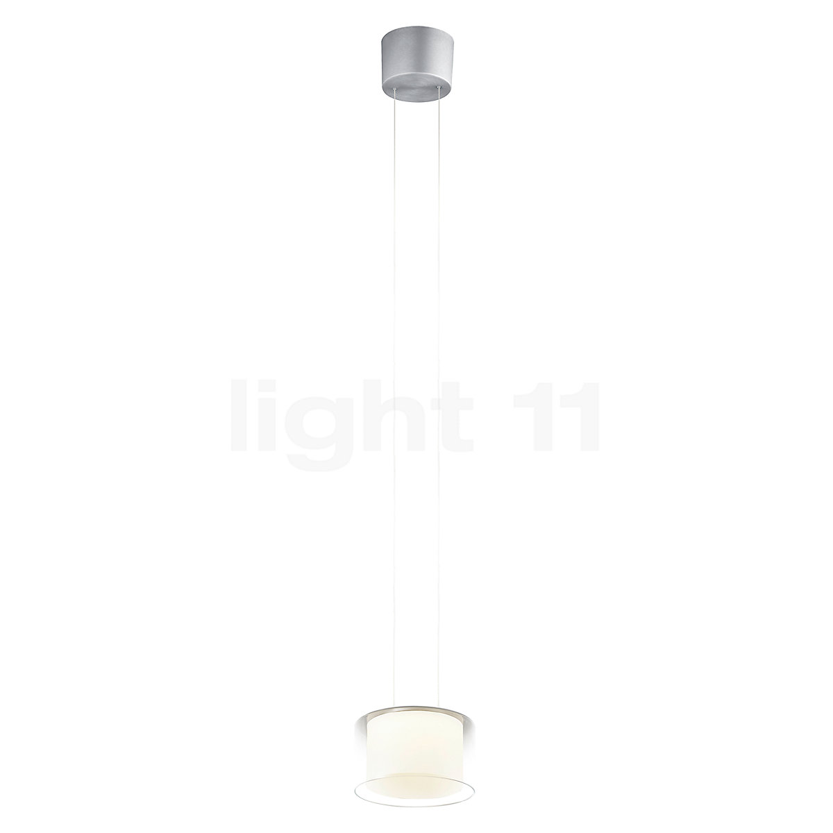 long flex pendant light