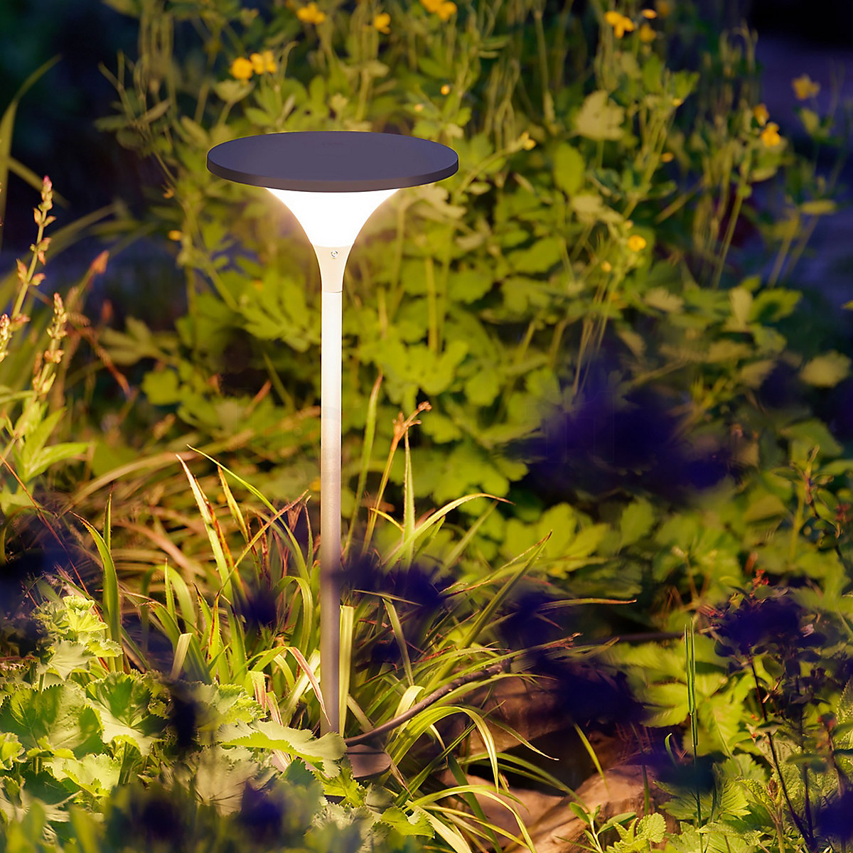 Buy Bega 84889 UniLink Bollard Light LED with Ground Spike at