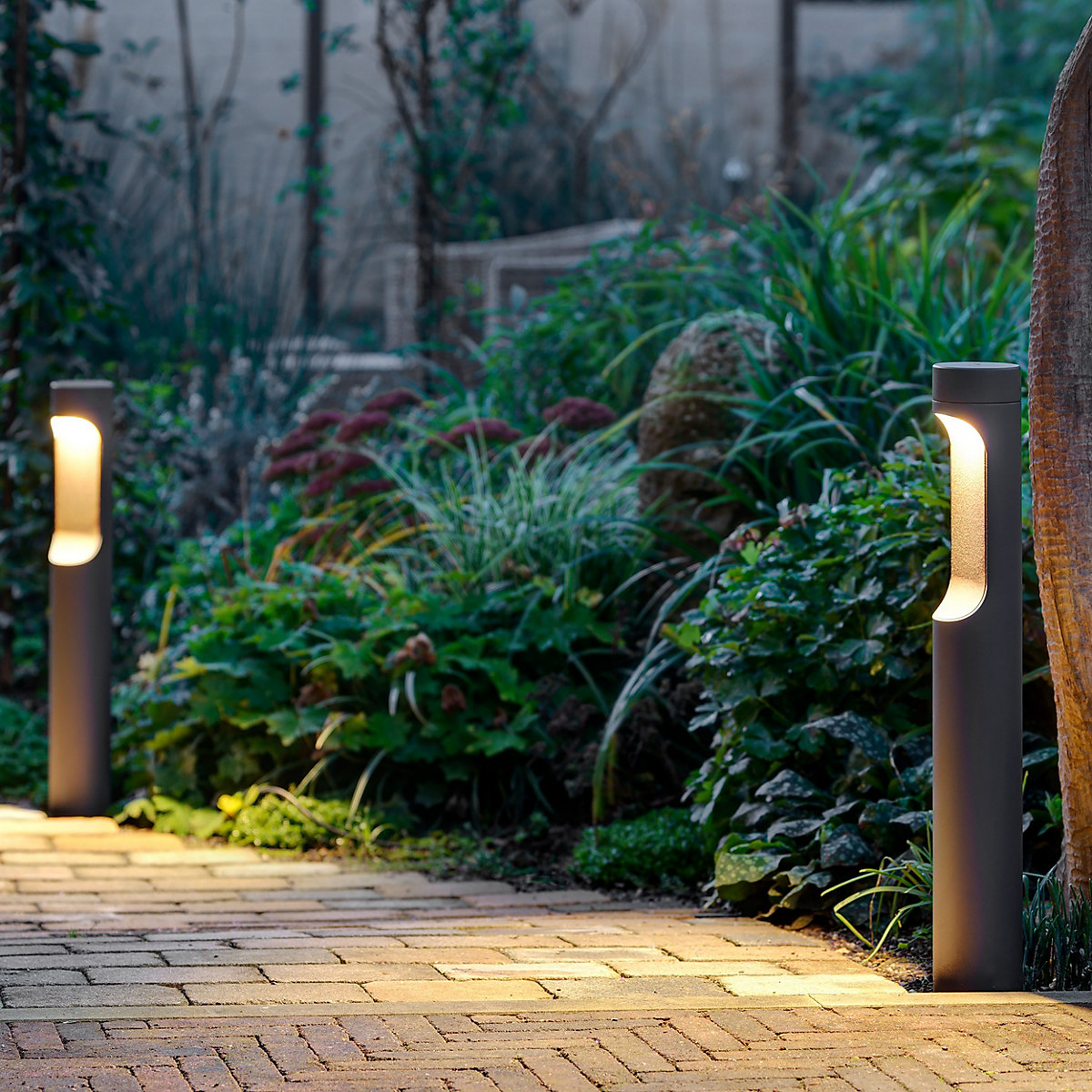 Buy Bega 85180 - Bollard Light LED at light11.eu