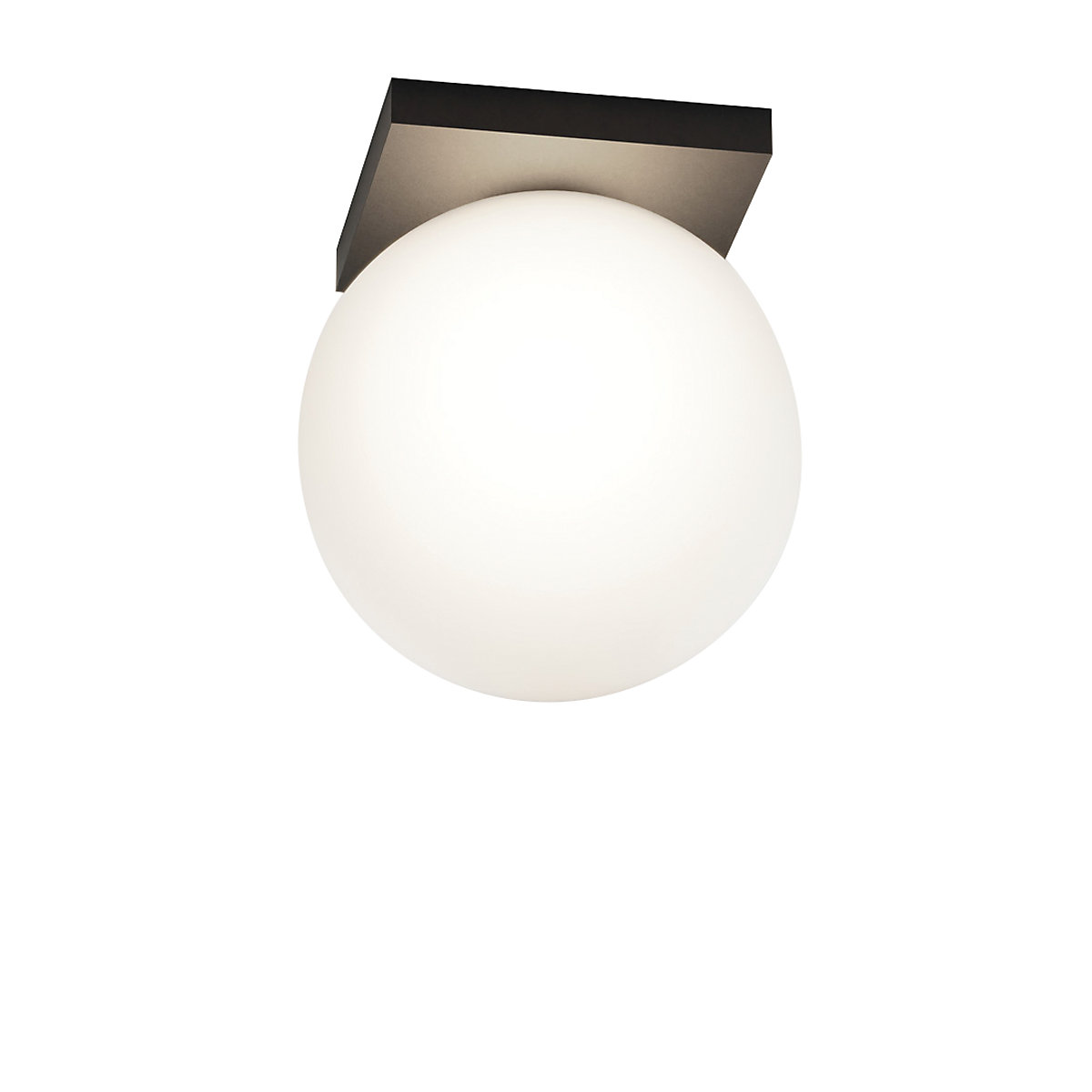 Delta Light Oono, negro – Lámpara de techo — imagen 5