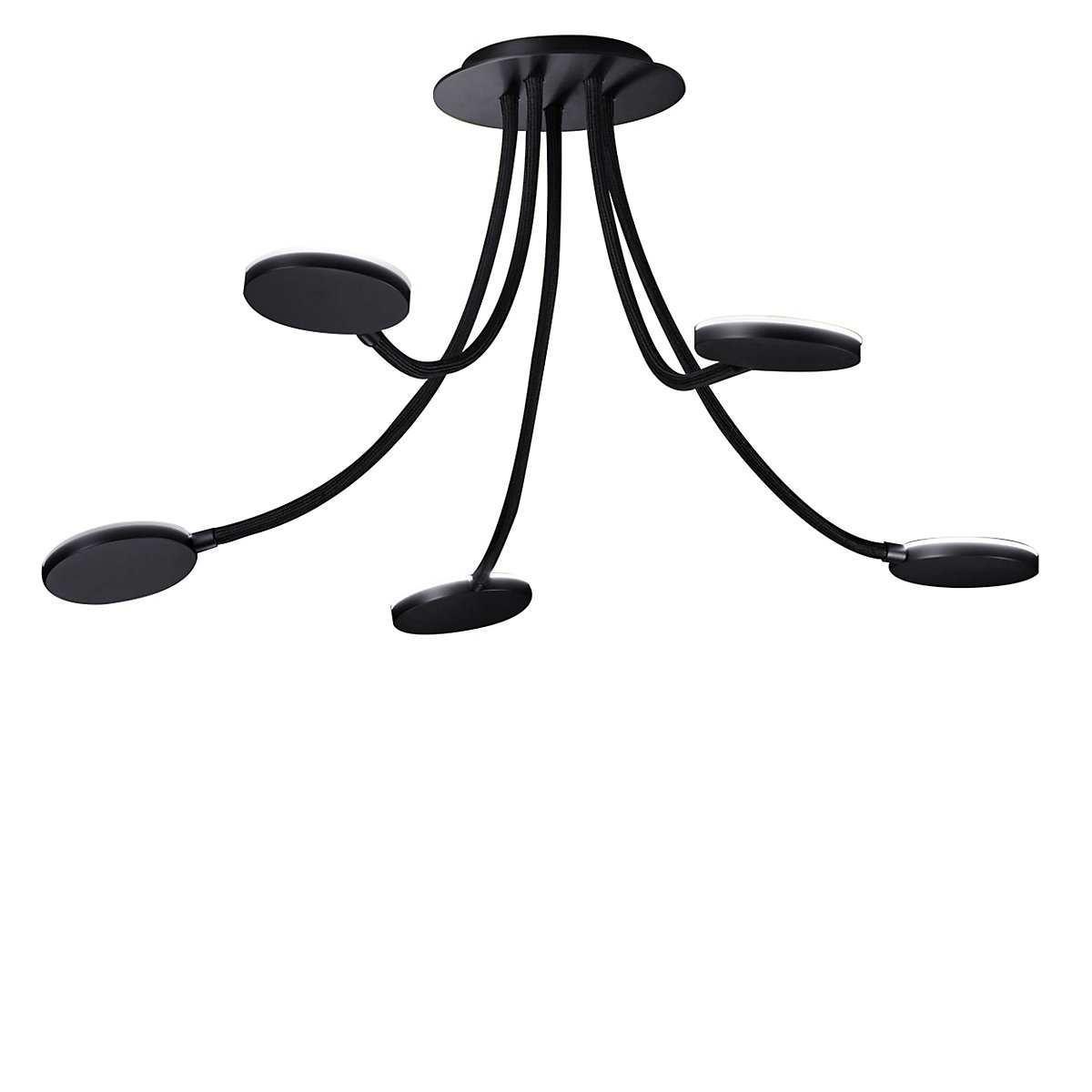 Holtkötter Flex D5, lámpara de techo LED 5 focos