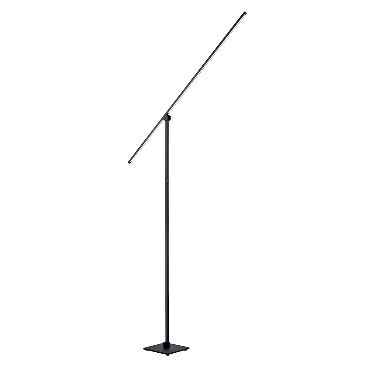 Neuhaus PURE® by Paul Neuhaus Grafo – Lámpara de pie led