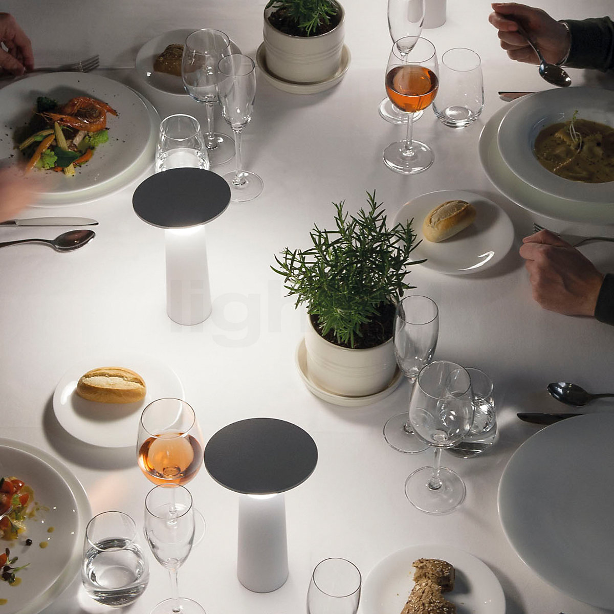 Buy Grok by LEDSC4 Cocktail LED at light11.eu