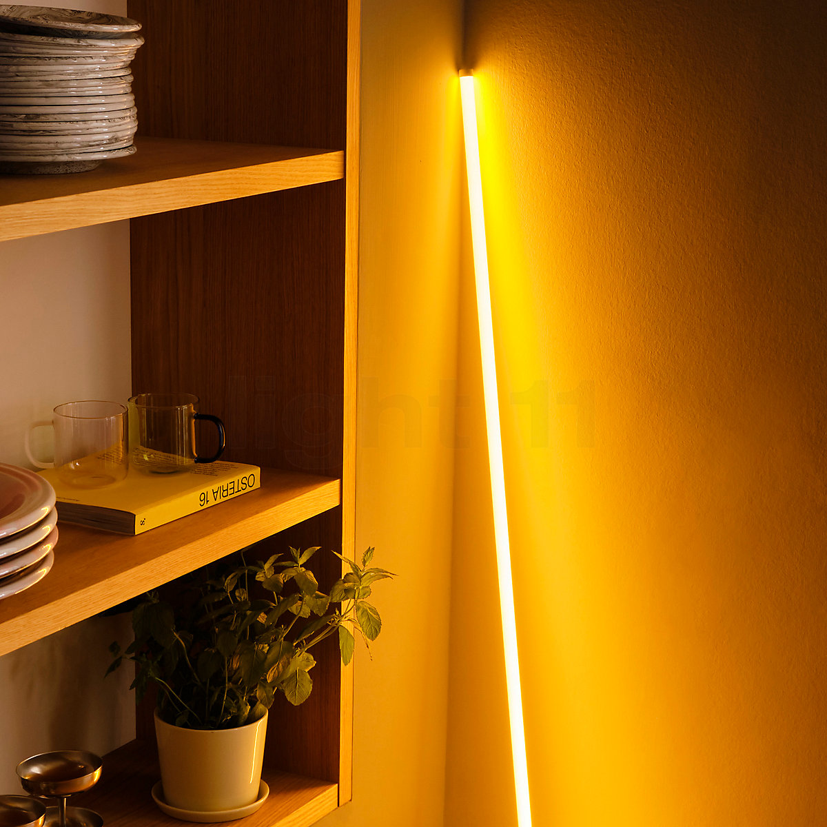 Hay neon store tube led pink