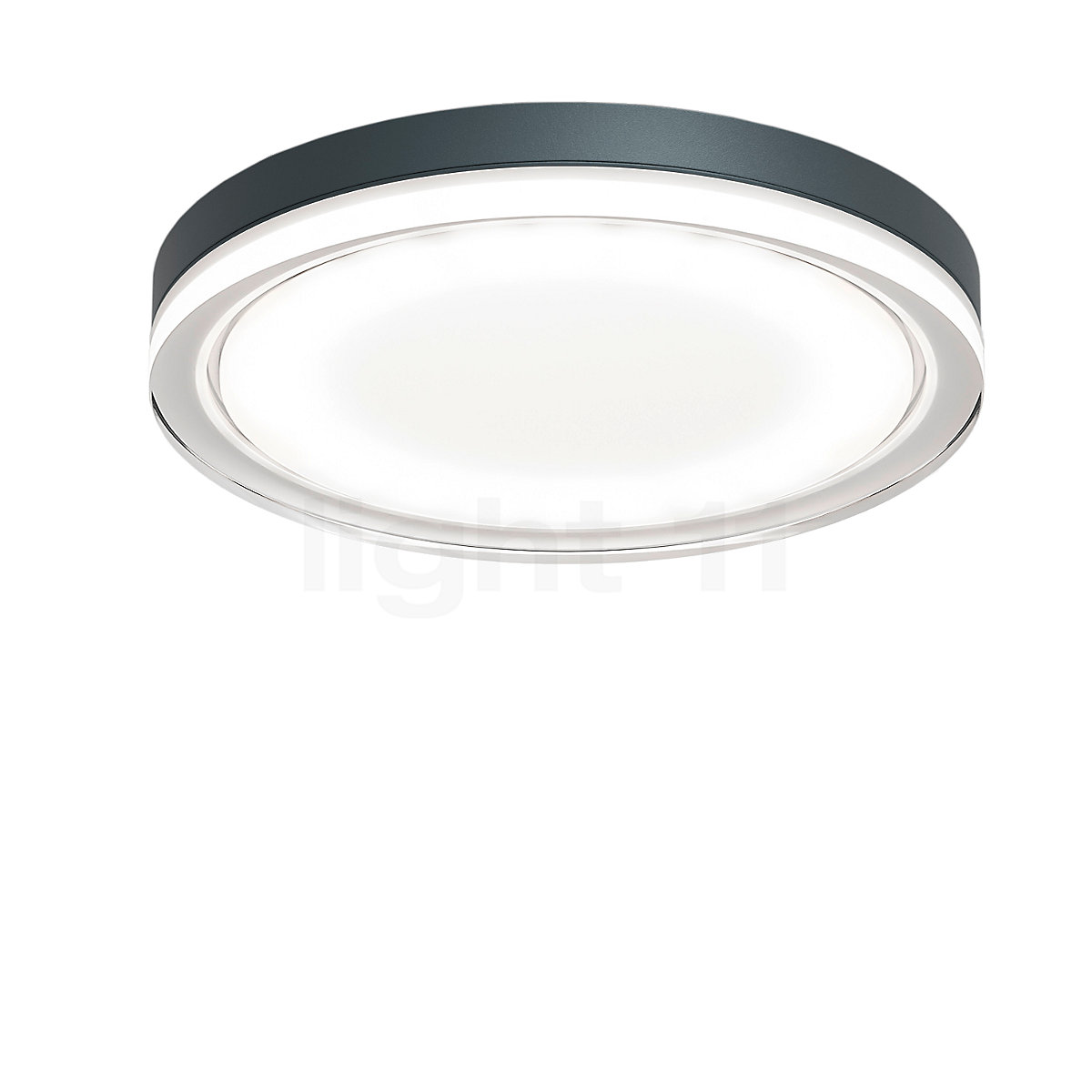 Opsplitsen zuur omverwerping Buy IP44.de Lisc Wall/Ceiling Light LED at light11.eu