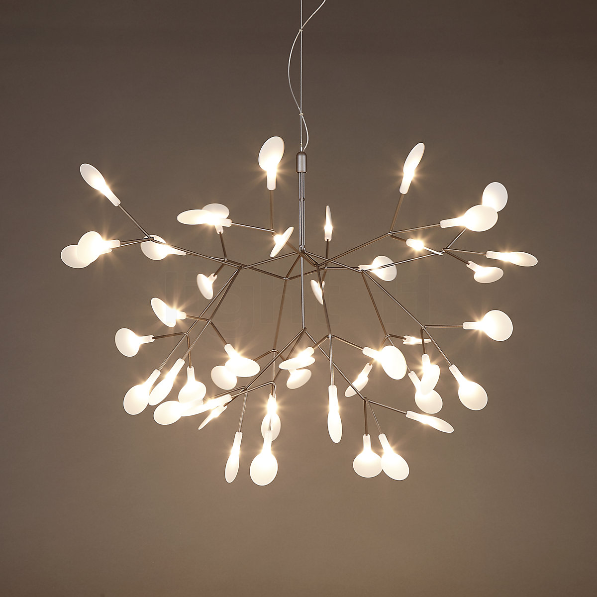 Moooi Heracleum Ii Hanglamp Small Kopen Bij Light11 Nl Moooi Heracleum Ii Hanglamp Small Kopen