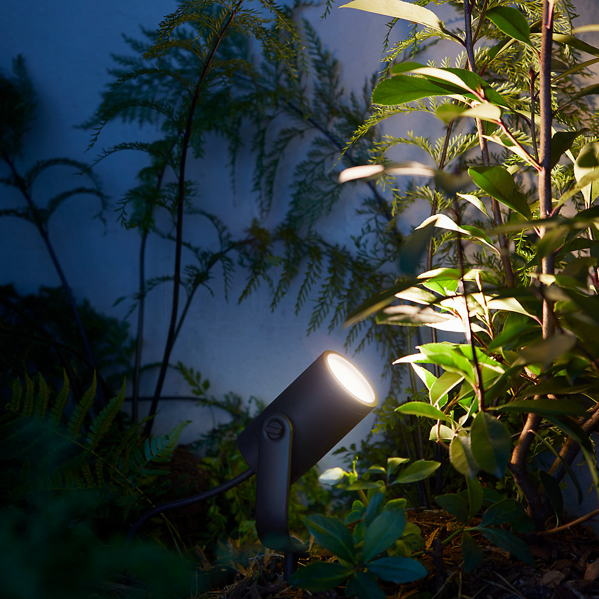 Philips hue lily deals sale