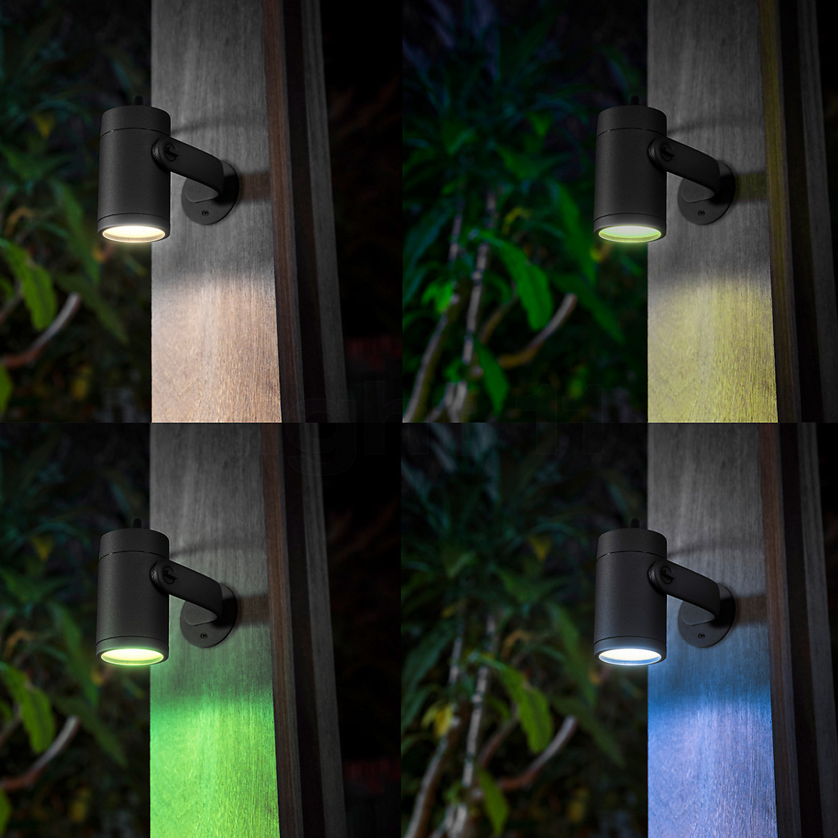 Philips hue lily shop sale