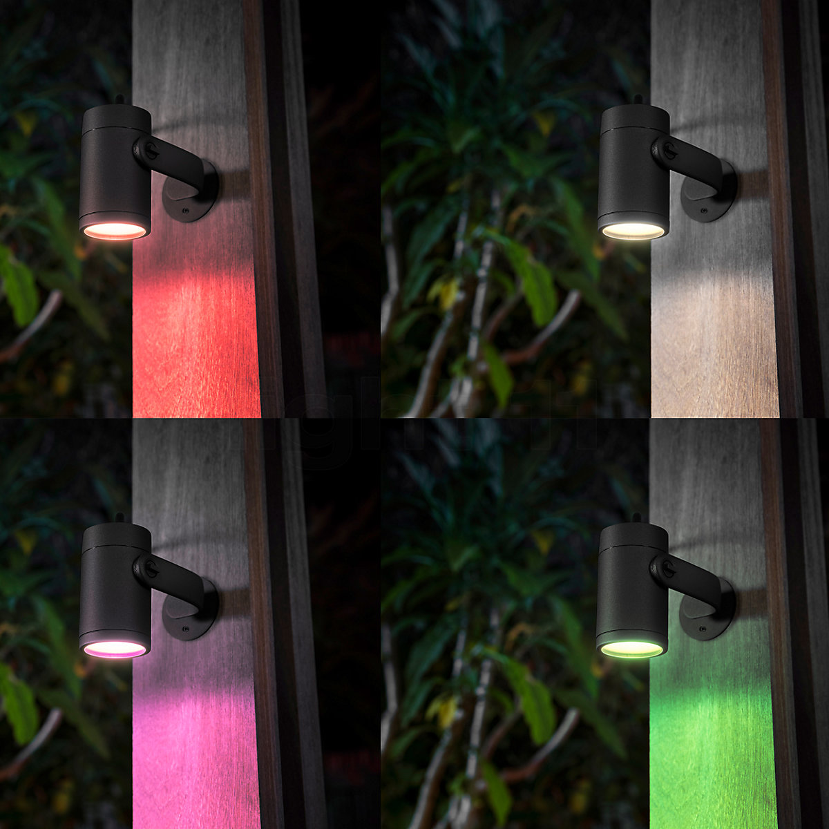 Lily store hue lights