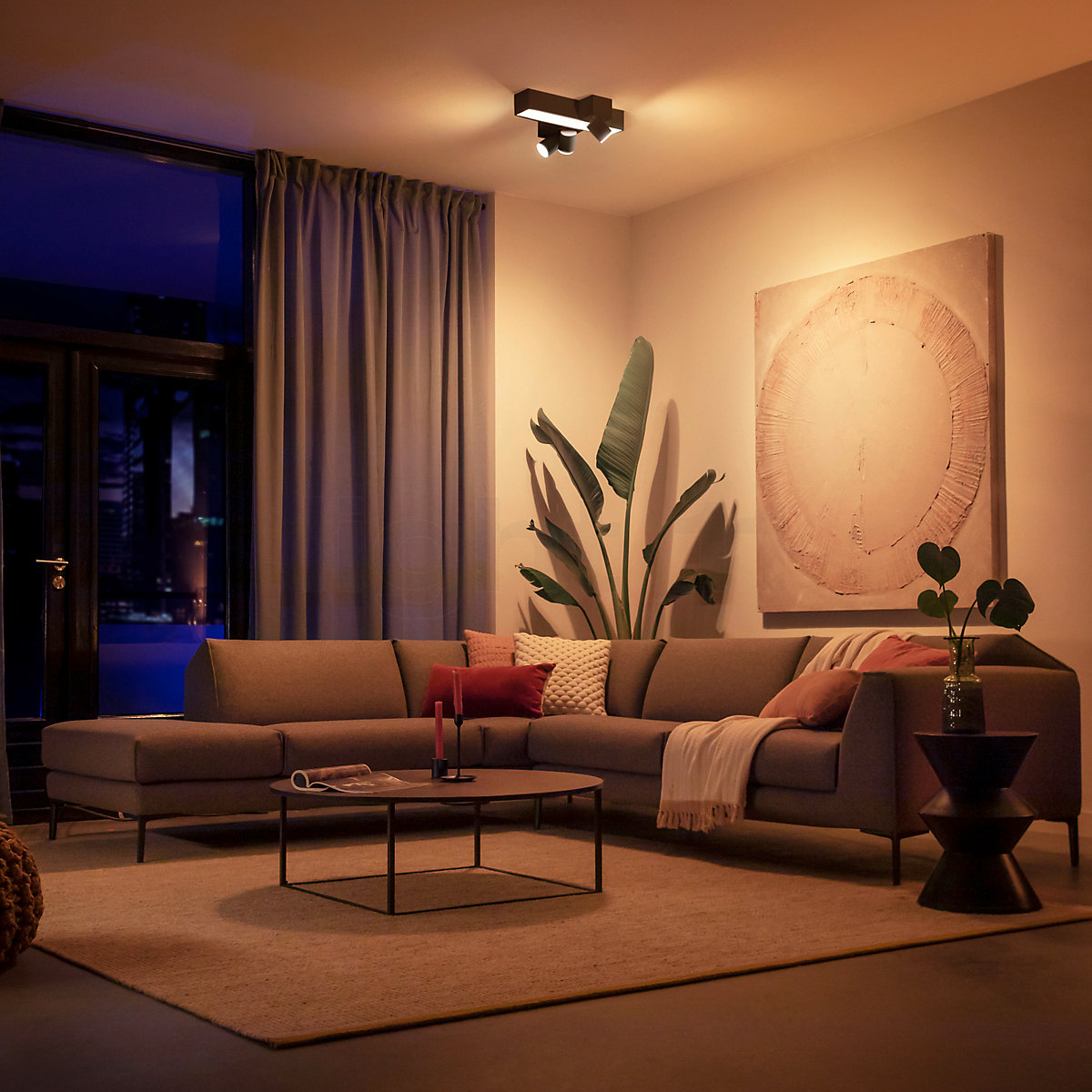 Philips hue top color ambiance