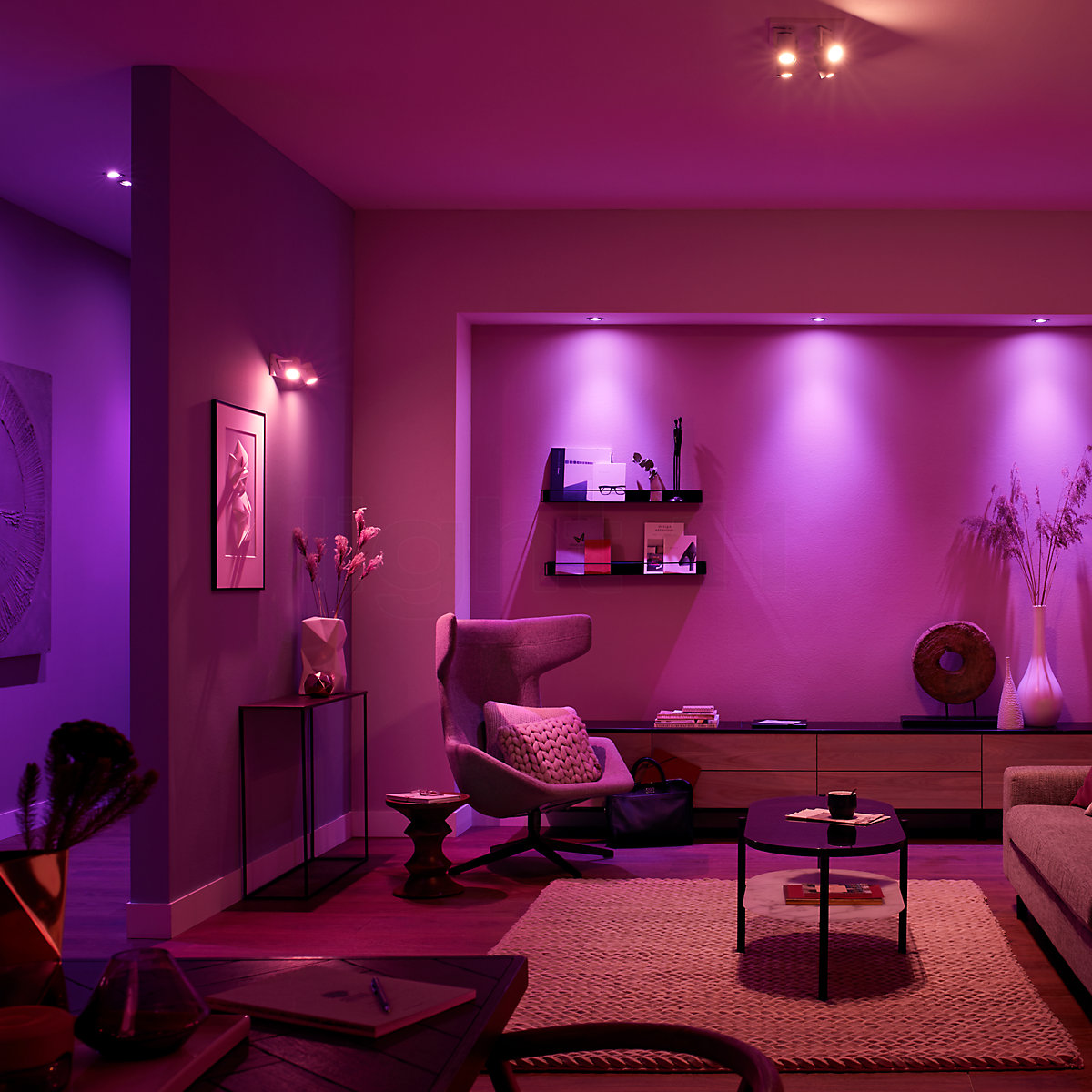 Duizeligheid Waar samenvoegen Buy Philips Hue White and Color Ambiance Argenta with 2 lamps at