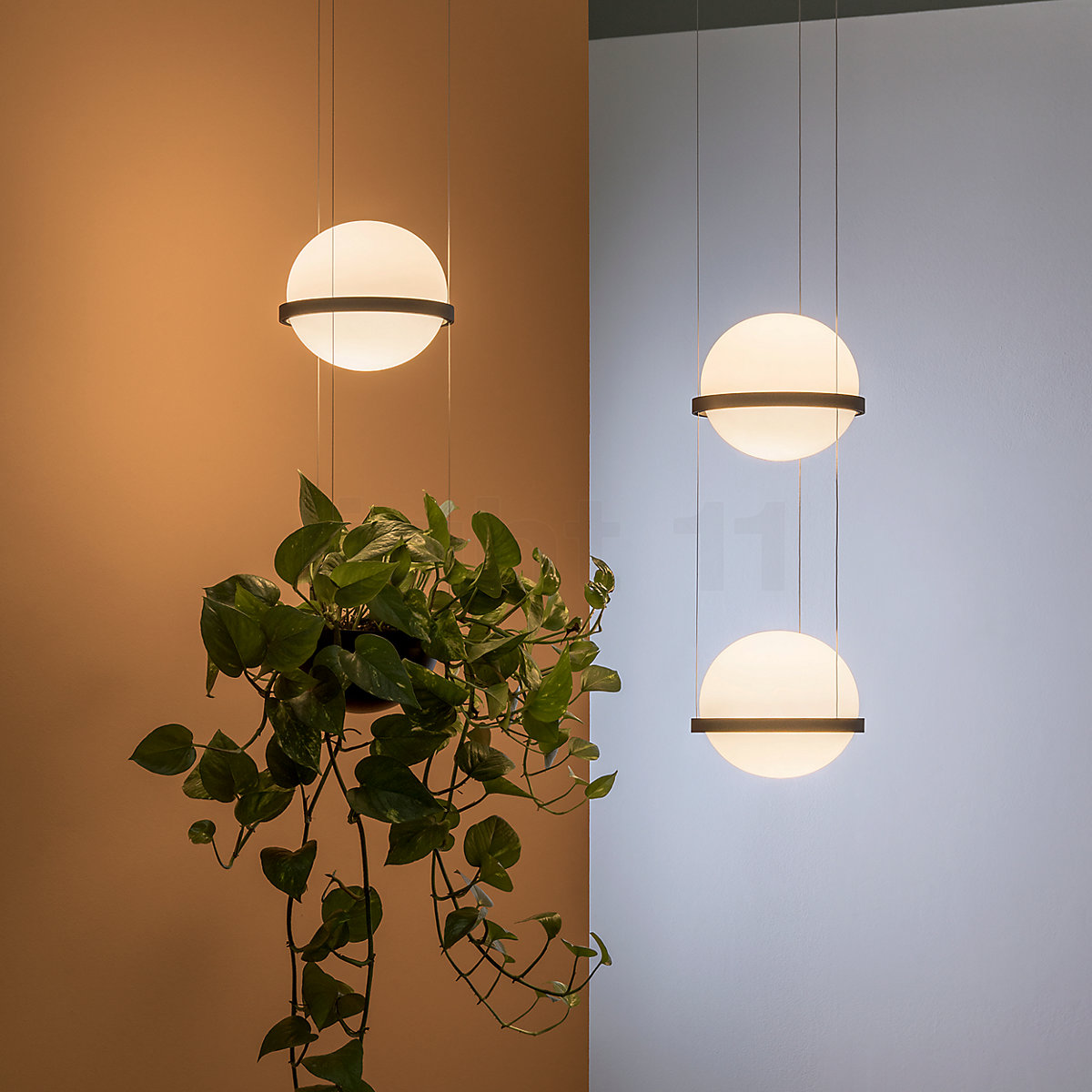 Buy Vibia Palma 3724 Pendant Light LED with Plant Pot at