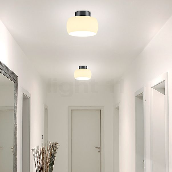 Bankamp Bell Deckenleuchte LED aluminium eloxiert , Lagerverkauf, Neuware