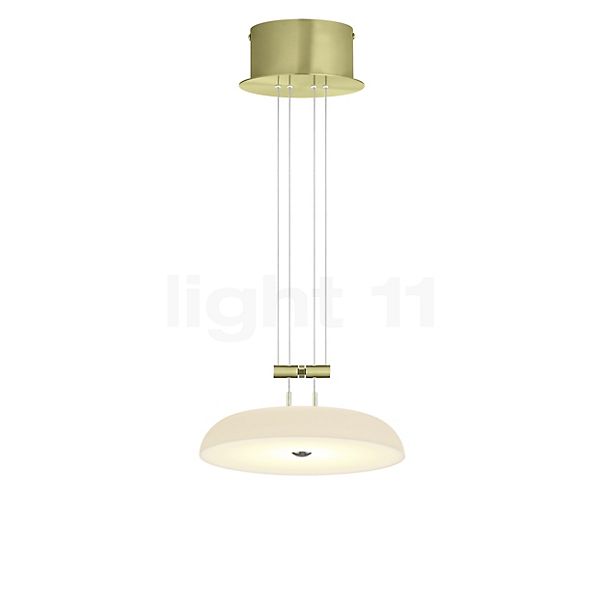 Bankamp Bowl Pendant Light LED